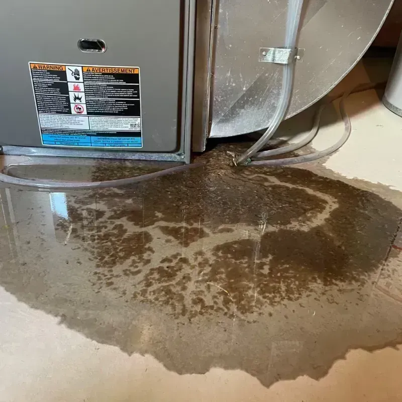 Appliance Leak Cleanup in Honeyville, UT